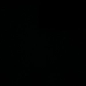 Lot of 4 brand new Nike XL womens sports bras